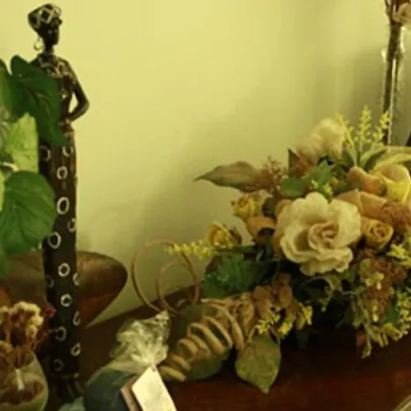 Viteama Sellia Marina