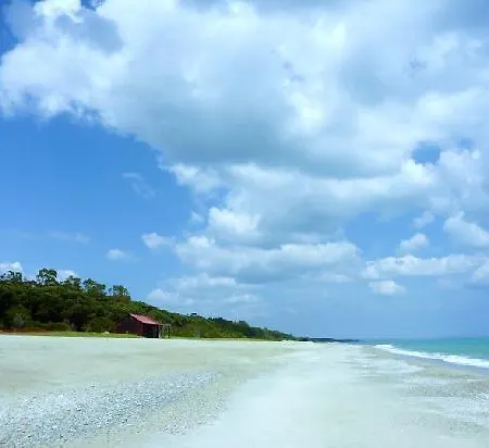 Viteama Hotel Sellia Marina